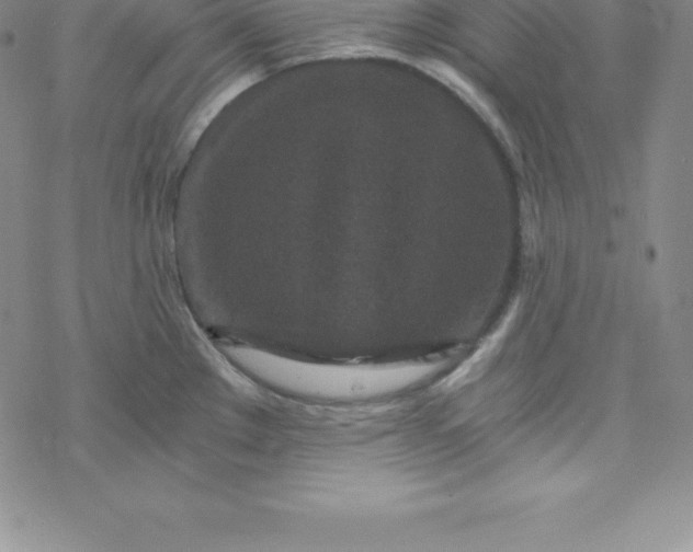 X0000069831289200606021327