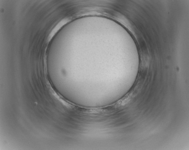 X0000069831290200606021327