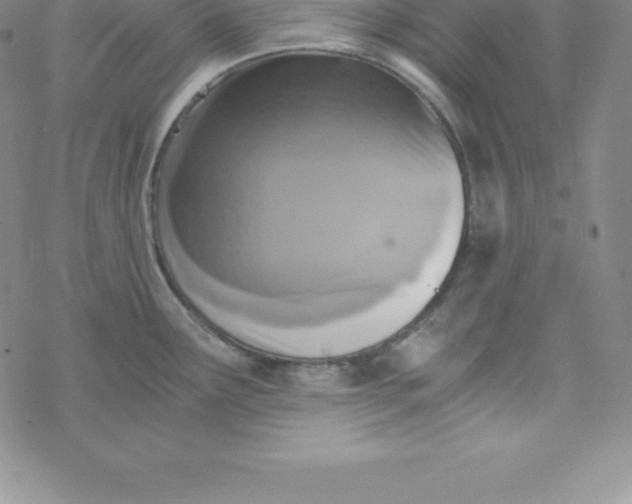 X0000069831291200606021327