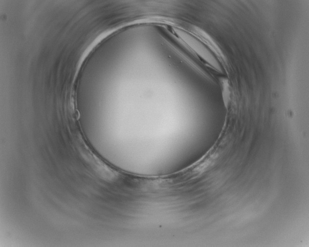 X0000069831292200606021327