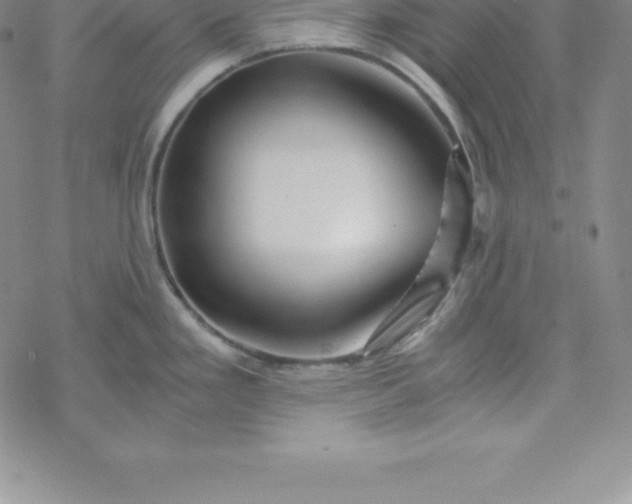 X0000069831293200606021327