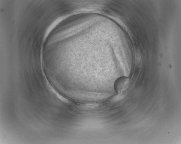 X0000069831294200606021327