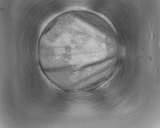 X0000069831295200606021327