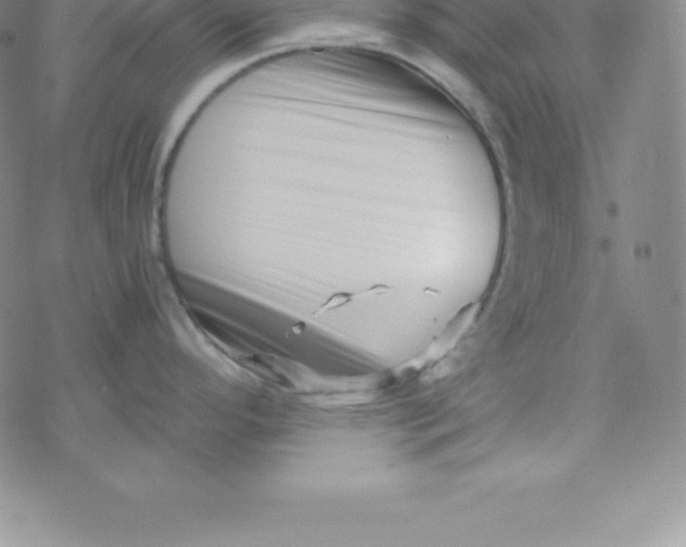 X0000069831296200606021327