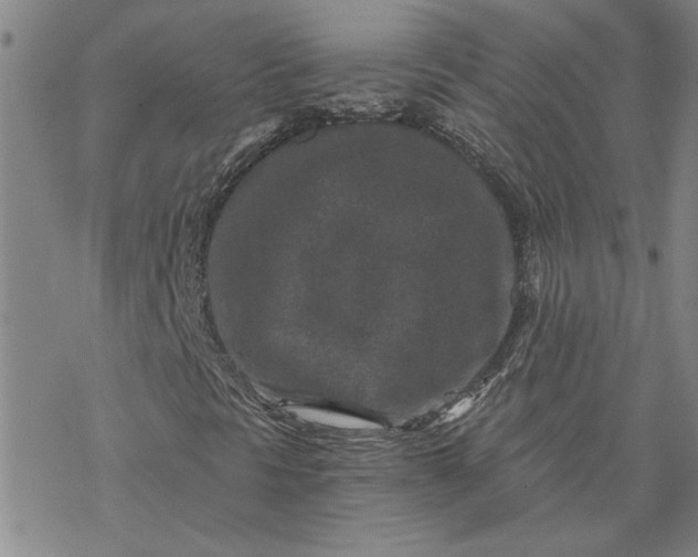 X0000069831297200606021326