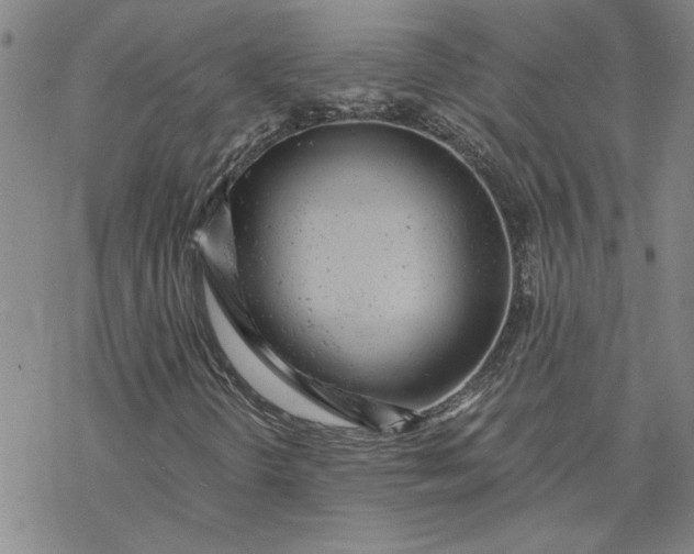 X0000069831298200606021326