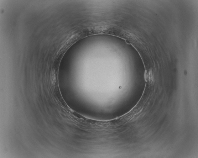 X0000069831299200606021326