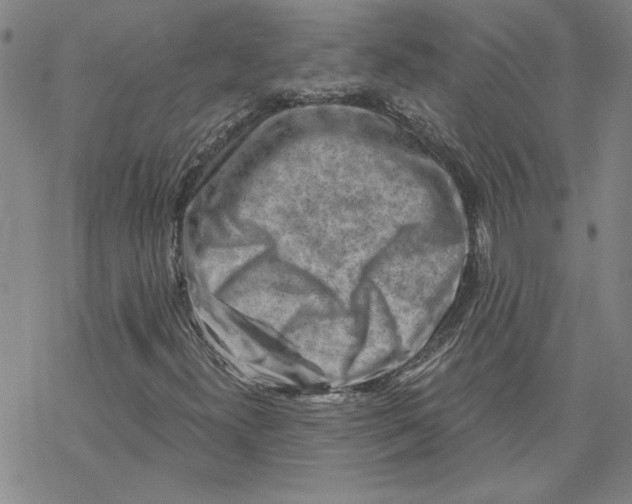 X0000069831300200606021326