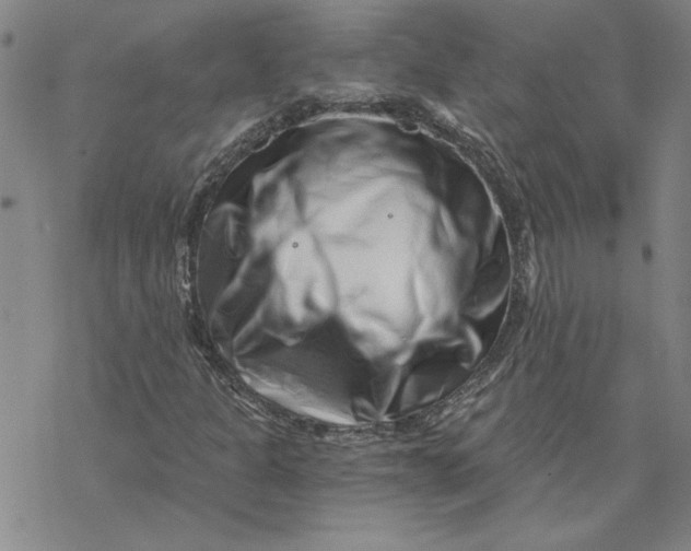 X0000069831301200606021326