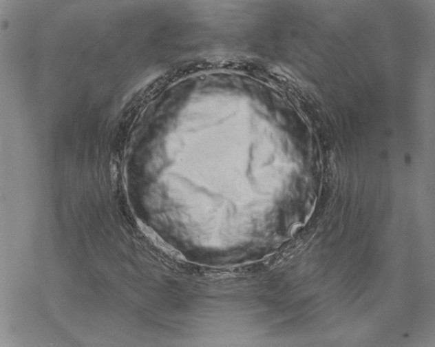 X0000069831302200606021326