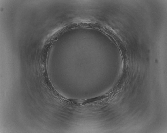 X0000069831303200606021326