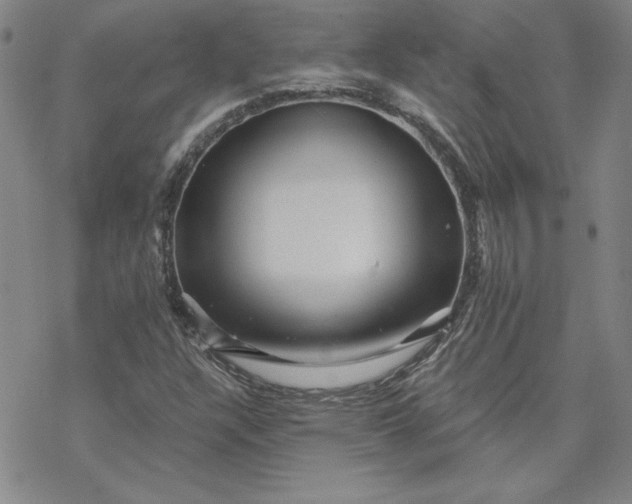 X0000069831304200606021326