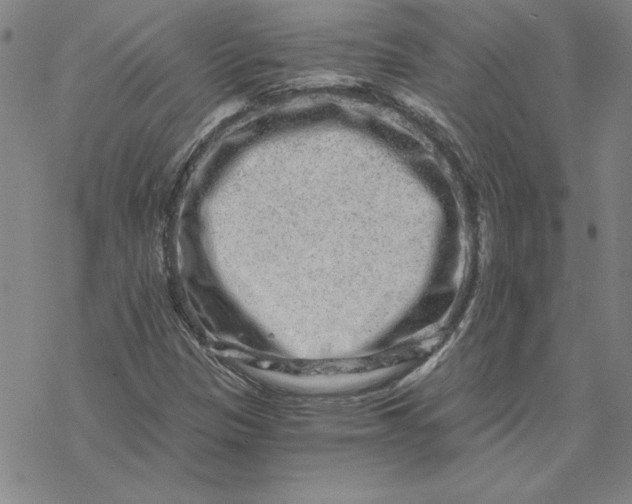 X0000069831305200606021326