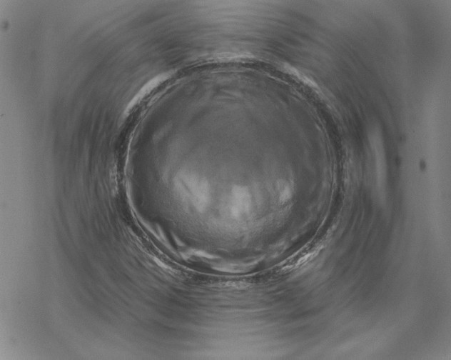 X0000069831306200606021326