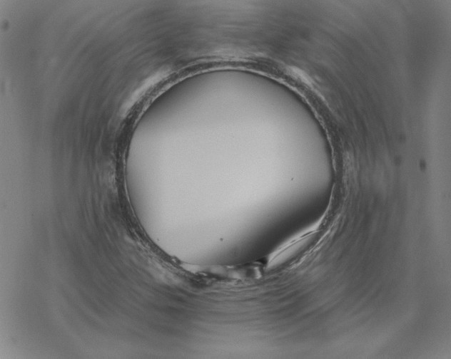 X0000069831307200606021326