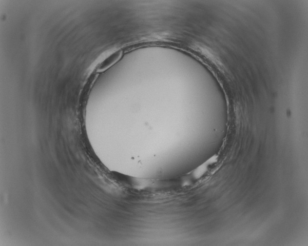 X0000069831308200606021326