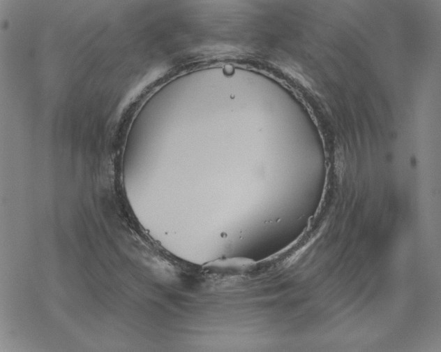 X0000069831309200606021326