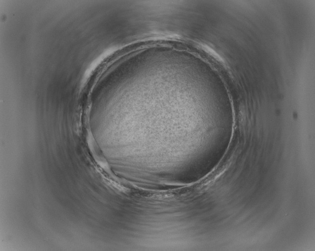 X0000069831310200606021326