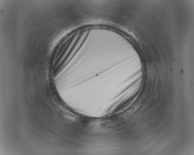 X0000069831311200606021326