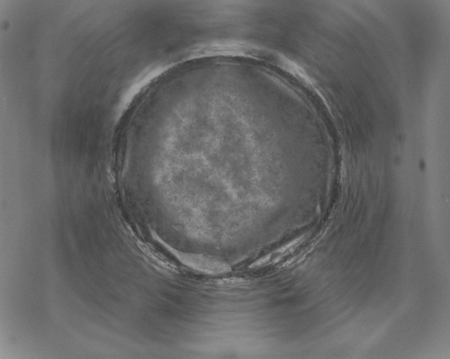 X0000069831312200606021326