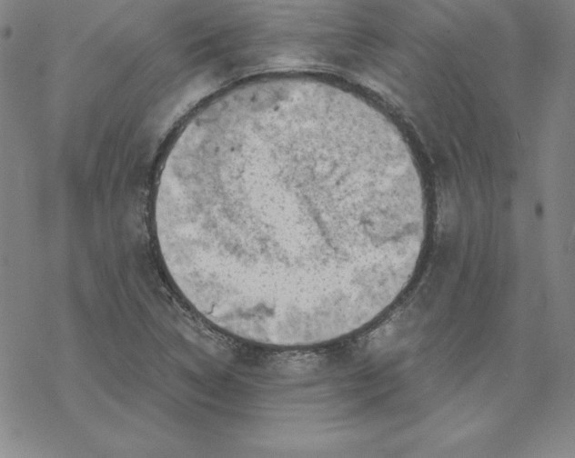 X0000069831314200606021326