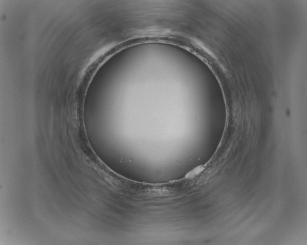 X0000069831315200606021326