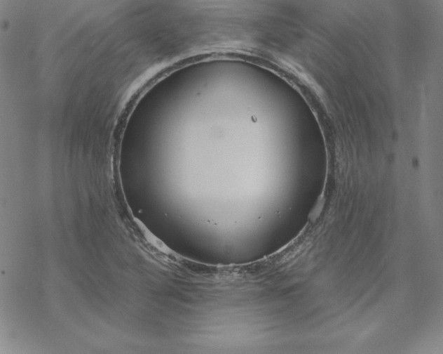 X0000069831316200606021326