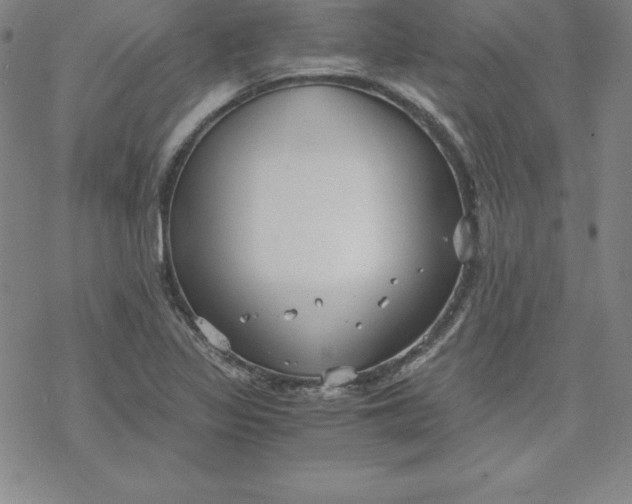 X0000069831317200606021326