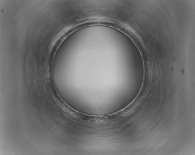 X0000069831318200606021326