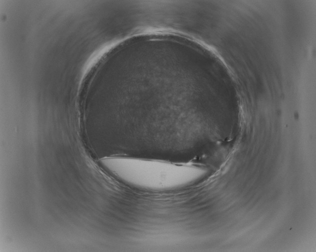 X0000069831319200606021326