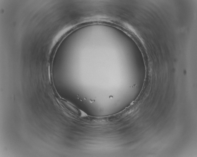 X0000069831320200606021327