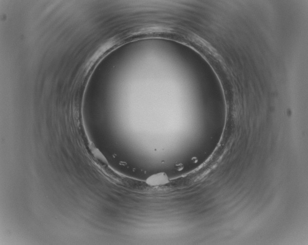 X0000069831321200606021327