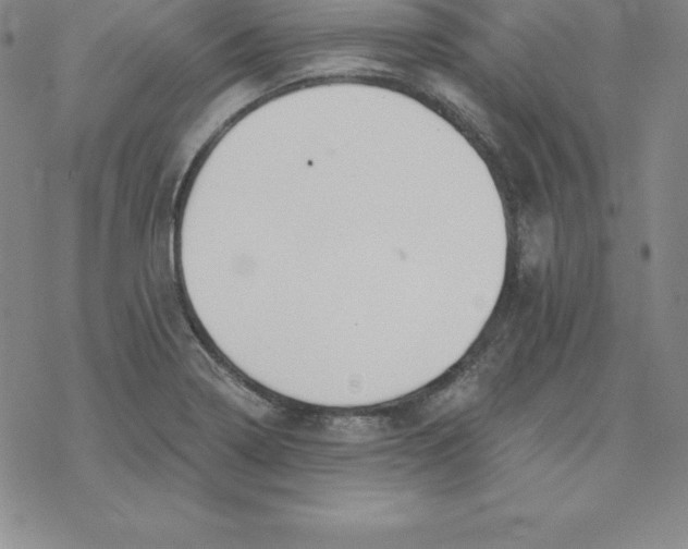 X0000069831322200606021327