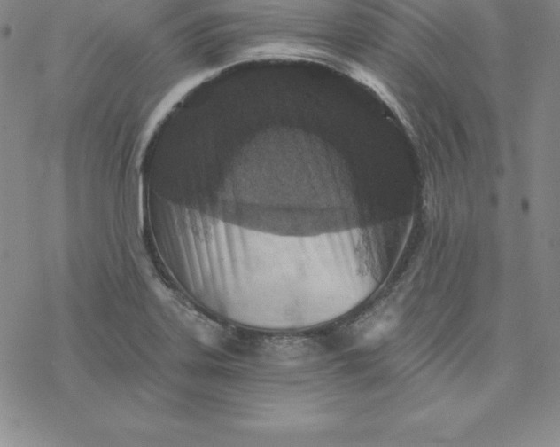 X0000069831323200606021327