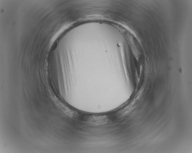 X0000069831325200606021327