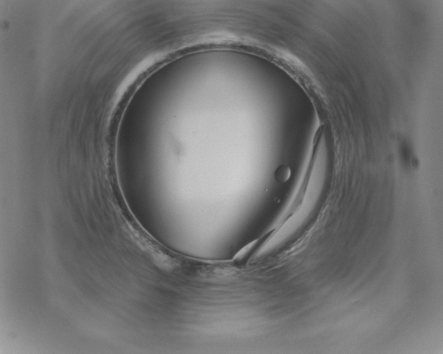 X0000069831326200606021327