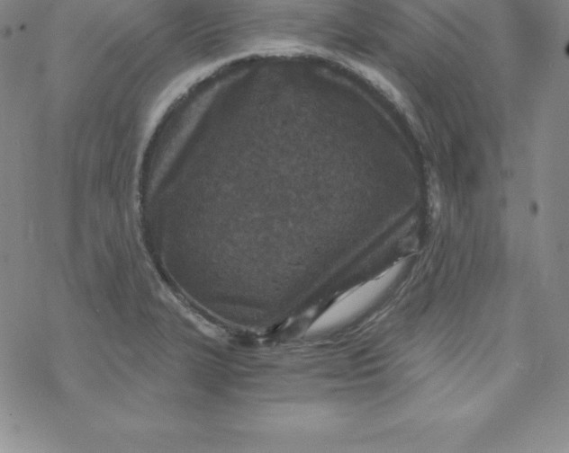 X0000069831327200606021327