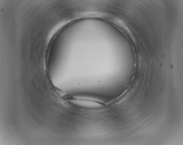 X0000069831328200606021327