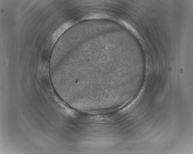 X0000069831329200606021327