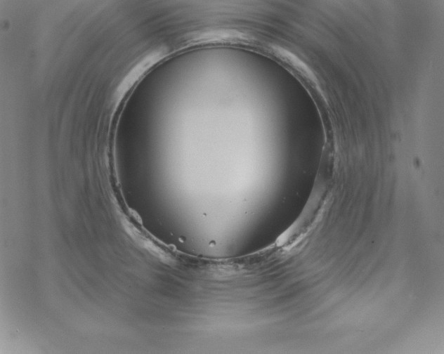 X0000069831330200606021327