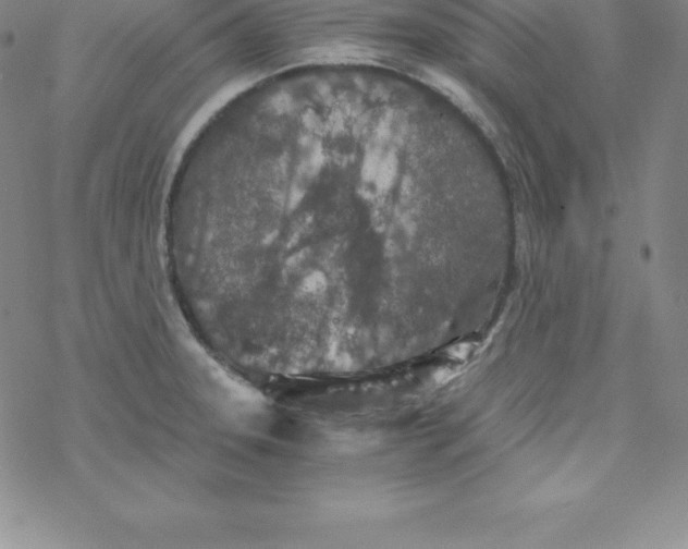 X0000069831331200606021327