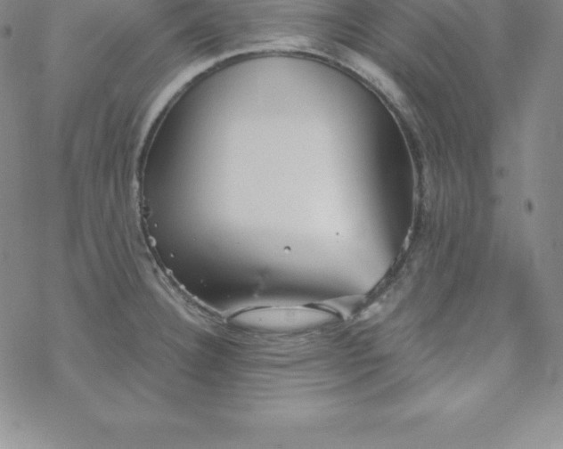 X0000069831332200606021327