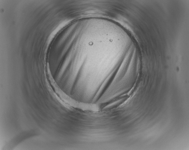 X0000069831333200606021327