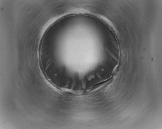 X0000069831335200606021327