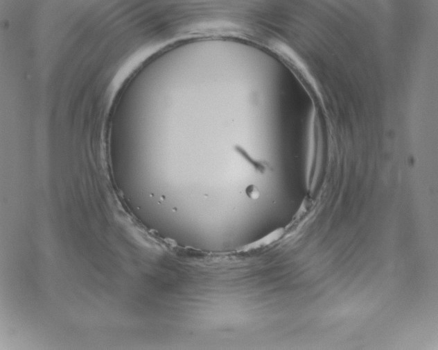 X0000069831336200606021327