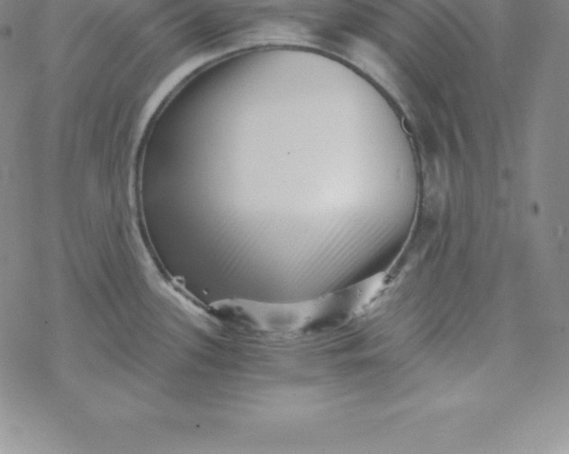 X0000069831339200606021327