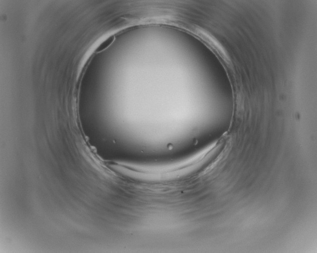 X0000069831340200606021327