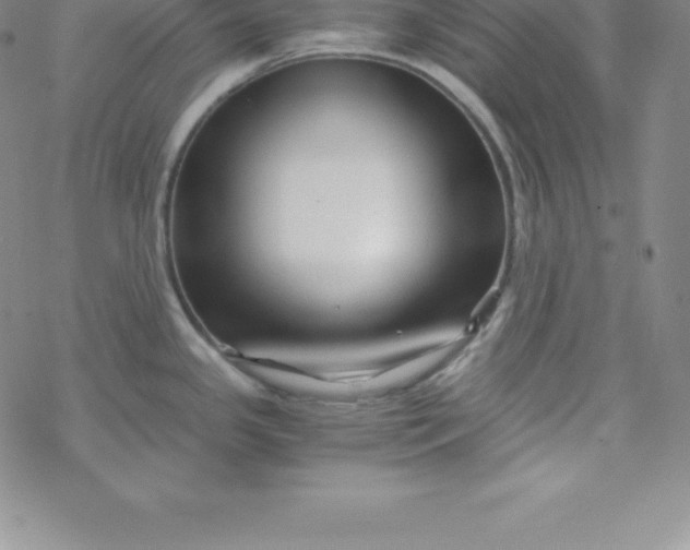 X0000069831341200606021327