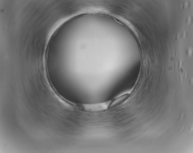 X0000069831343200606021327