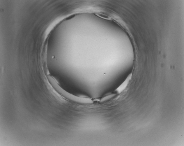 X0000069831344200606021327